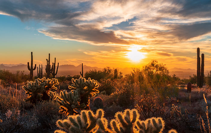 Scottsdale Arizona
