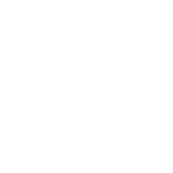 Consultative Advice Icon