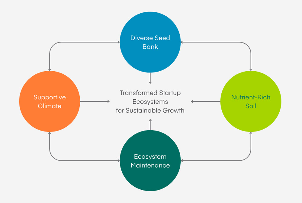 Colorful graphic with four circles at top, bottom, left, and right, all joined by arrows flowing to and from each other. The top blue circle has the words "Diverse Seed Bank," which flows to and from the lime green circle at the right with the words "Nutrient-Rich Soil," which flows to and from the dark teal circle at the bottom with the words "Ecosystem Maintenance" which flows to and from the orange circle at the left with the words "Supportive Climate," which closes the loop to flow to and from the "Diverse Seed Bank" circle. All four have arrows pointing to the center, which reads "Transformed Startup Ecosystems for Sustainable Growth"